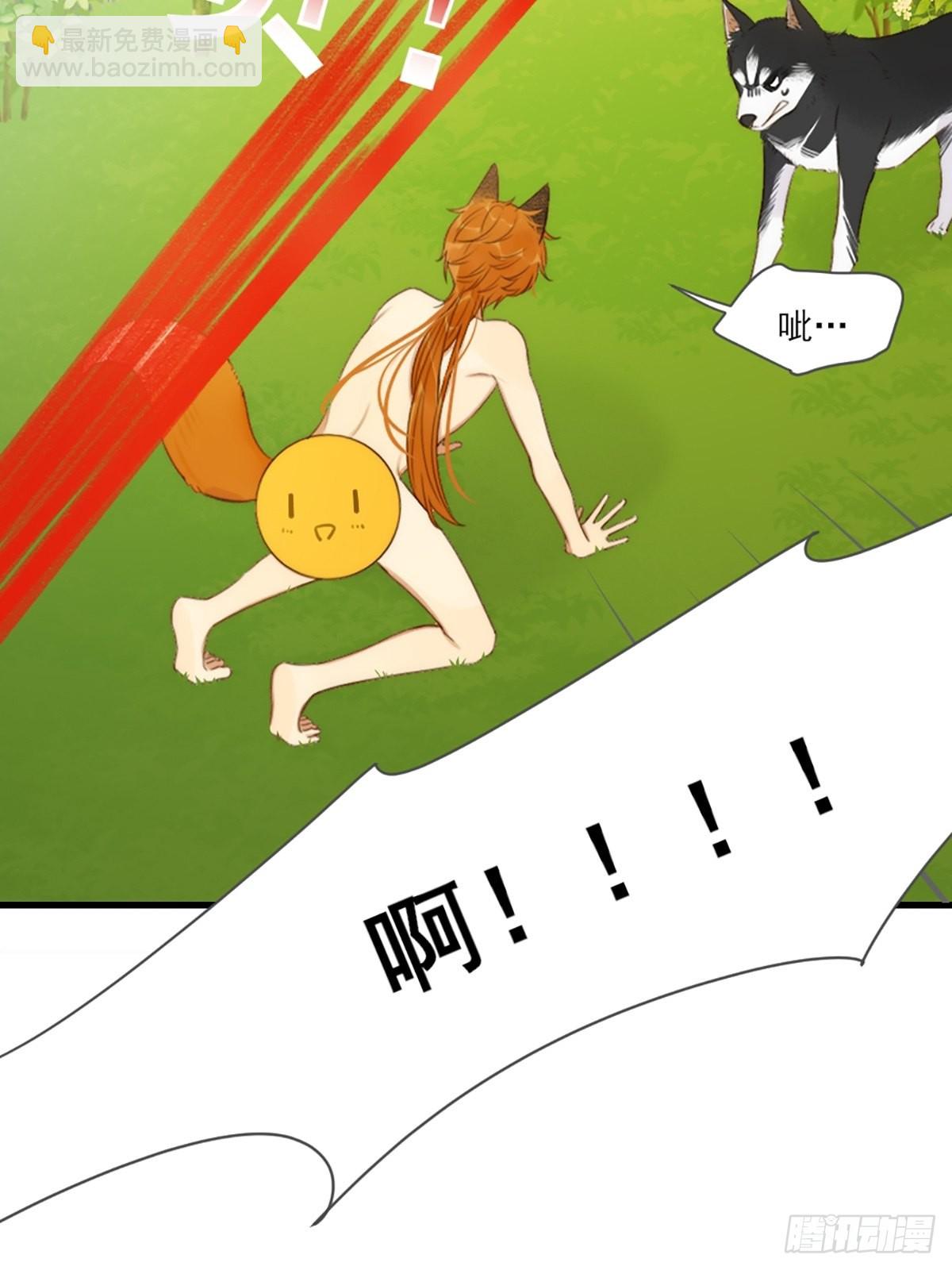 失忆的狐狸(1/2)-第6话