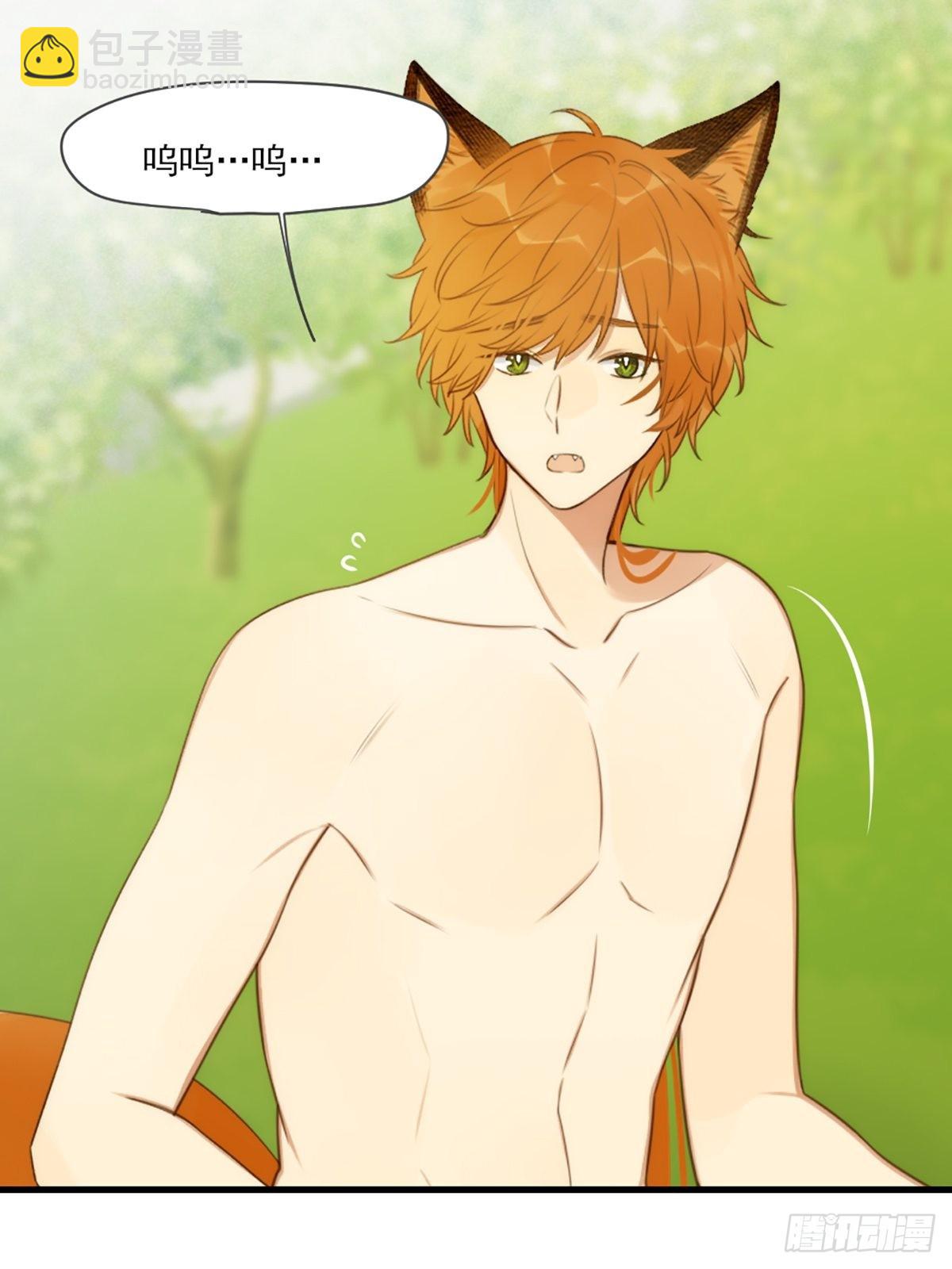 失忆的狐狸(1/2)-第6话