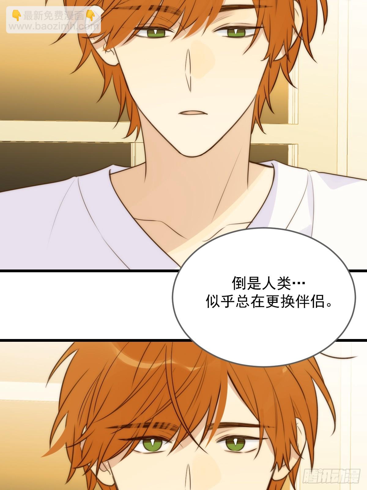 白夜的担心(1/2)-第62话