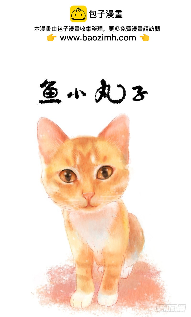 第十一话-鱼小丸子1-第16话