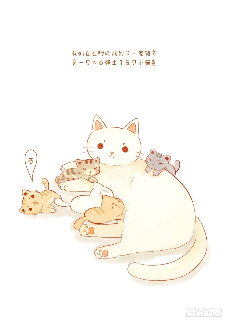 第十一话-鱼小丸子1-第16话