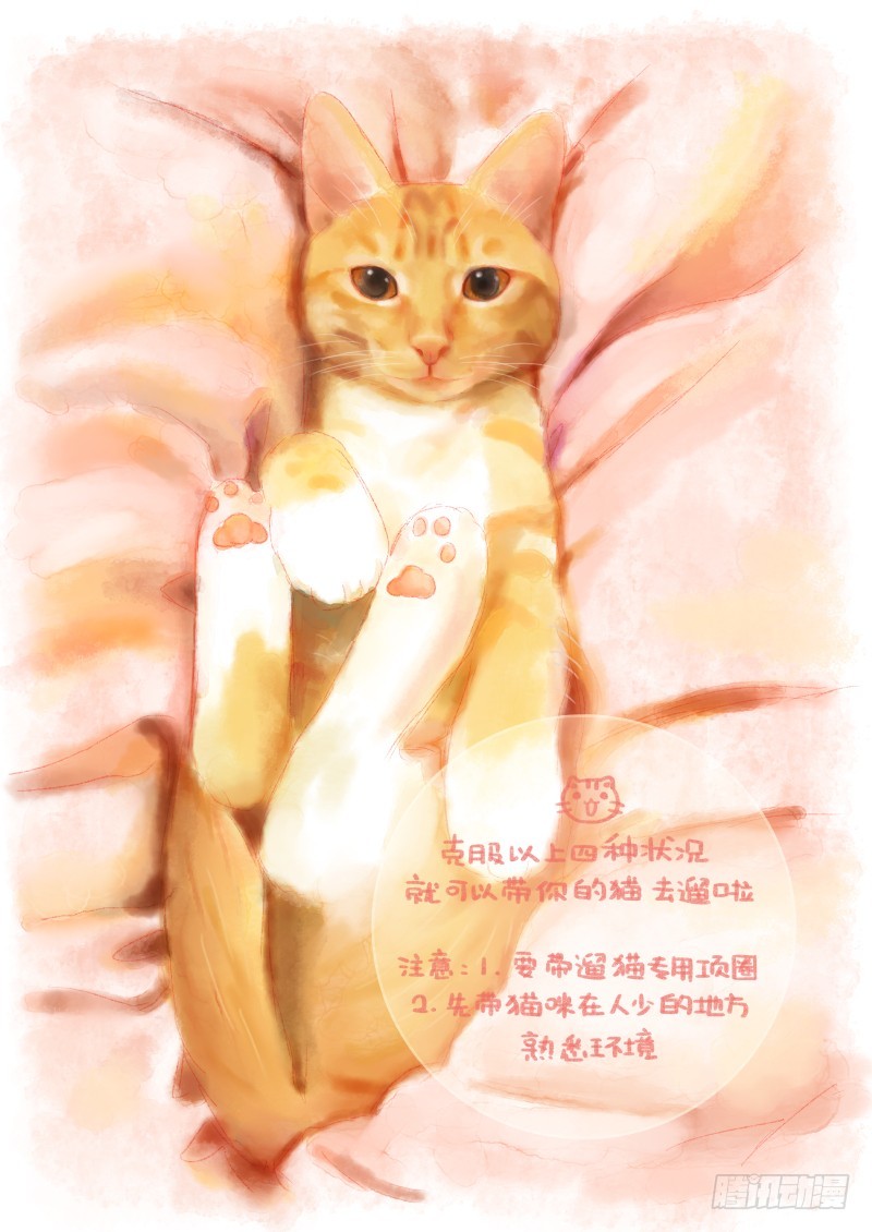 第十三话上-鱼丸的一天1-第18话