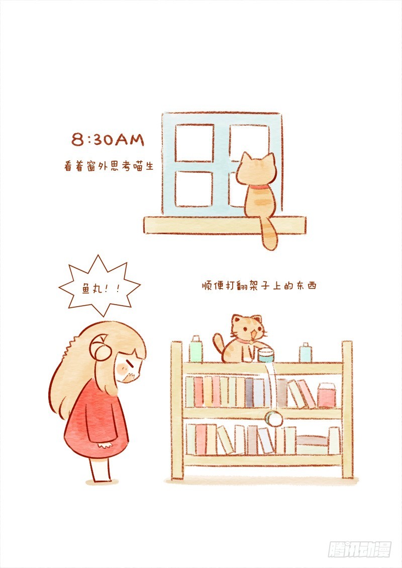 第十三话上-鱼丸的一天1-第18话