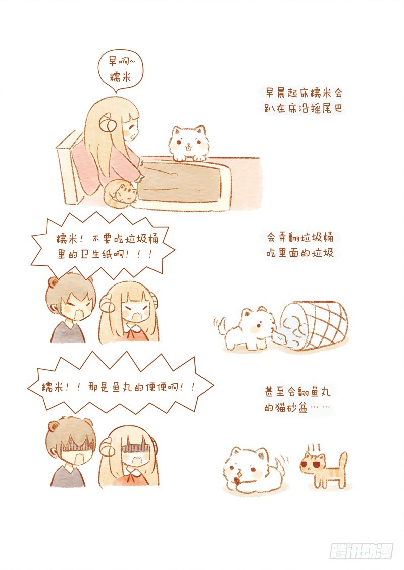 第十四话-糯米3-第22话