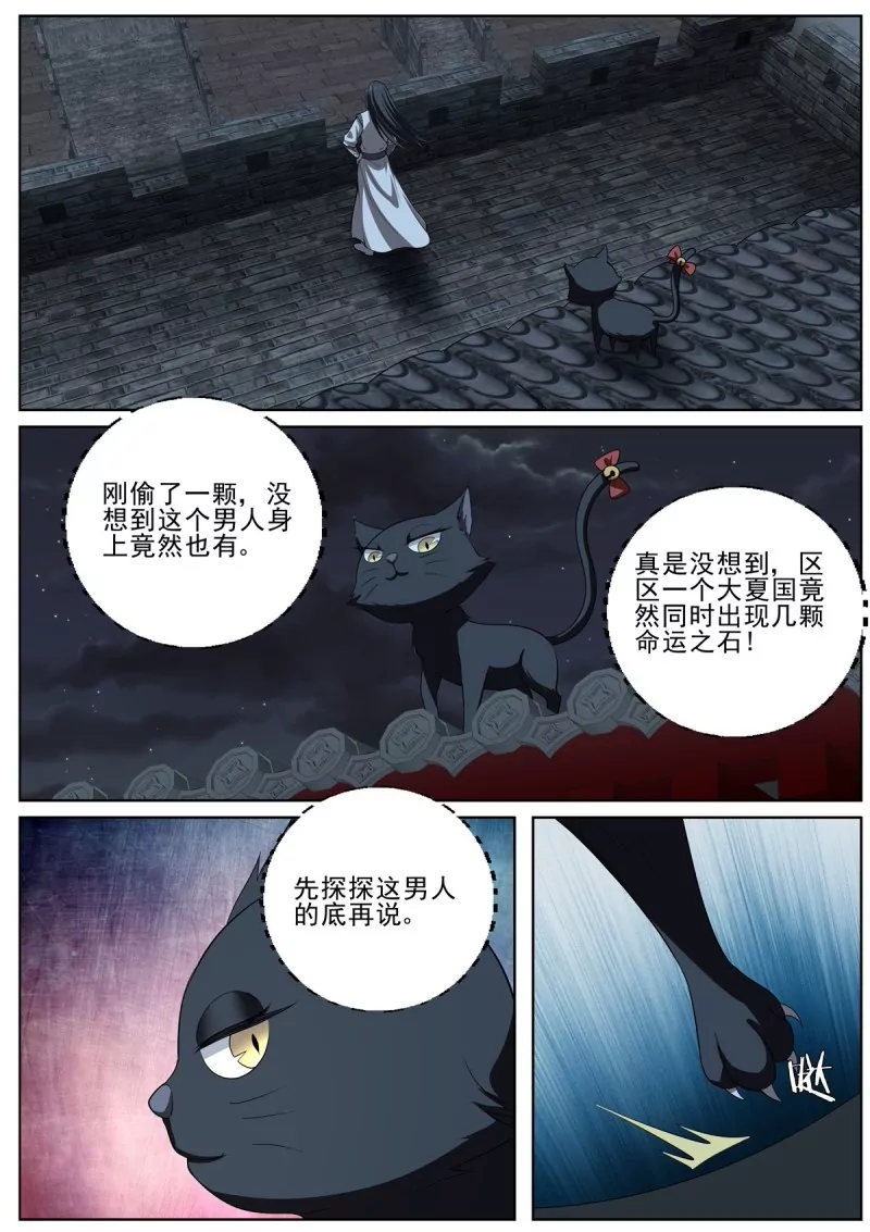 第98话 96猫女-第98话