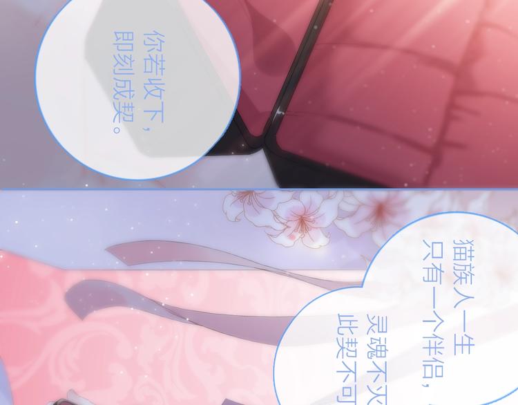 动态漫上线福利，梦幻婚礼现场-第42话