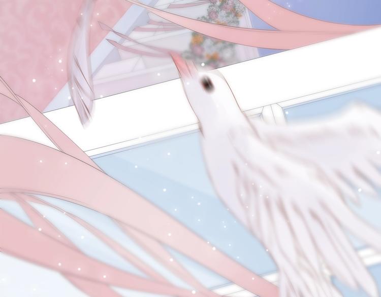 动态漫上线福利，梦幻婚礼现场-第42话