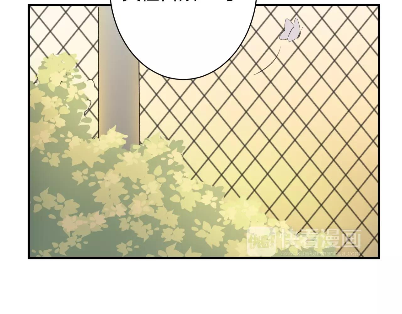 第25话 温柔的颜色(1/2)-第26话