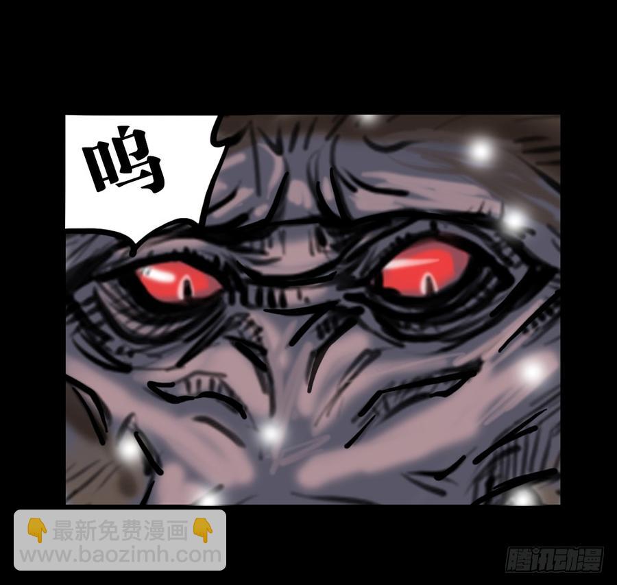 第五章：老猫猴-第20话