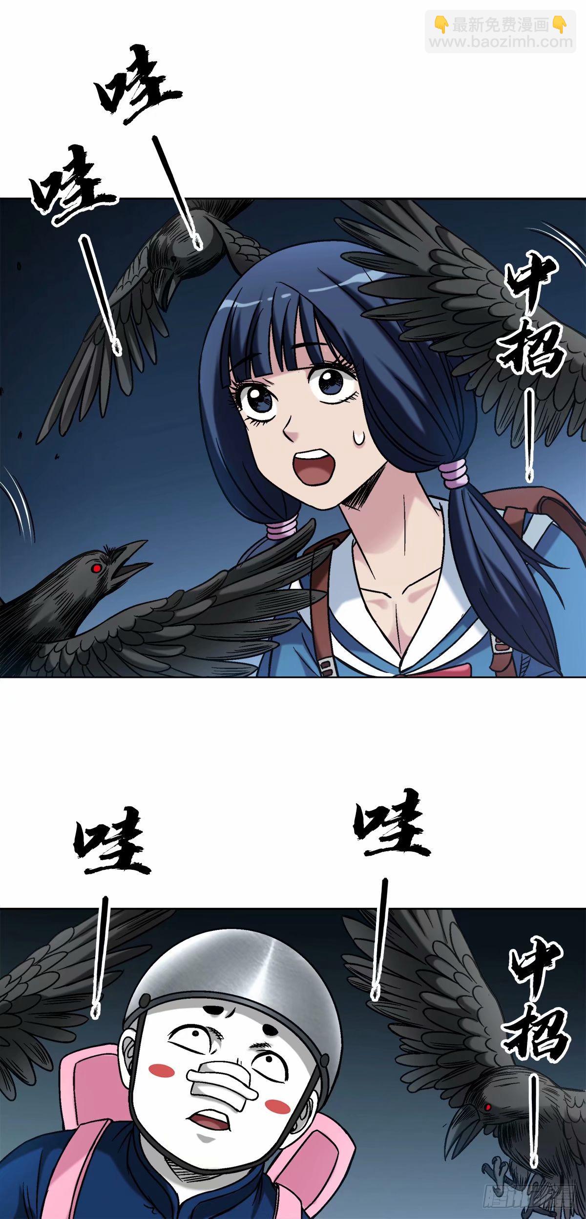 17.jpg