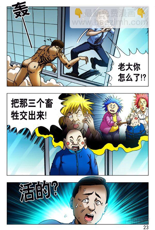 5.jpg