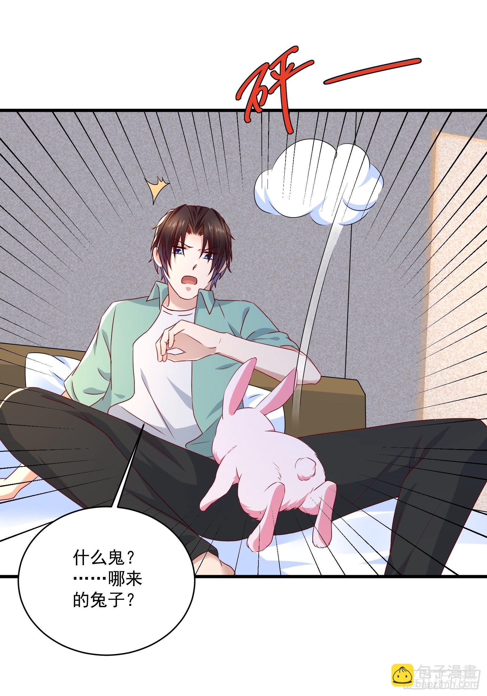 第26话 兔子？美女？-第28话