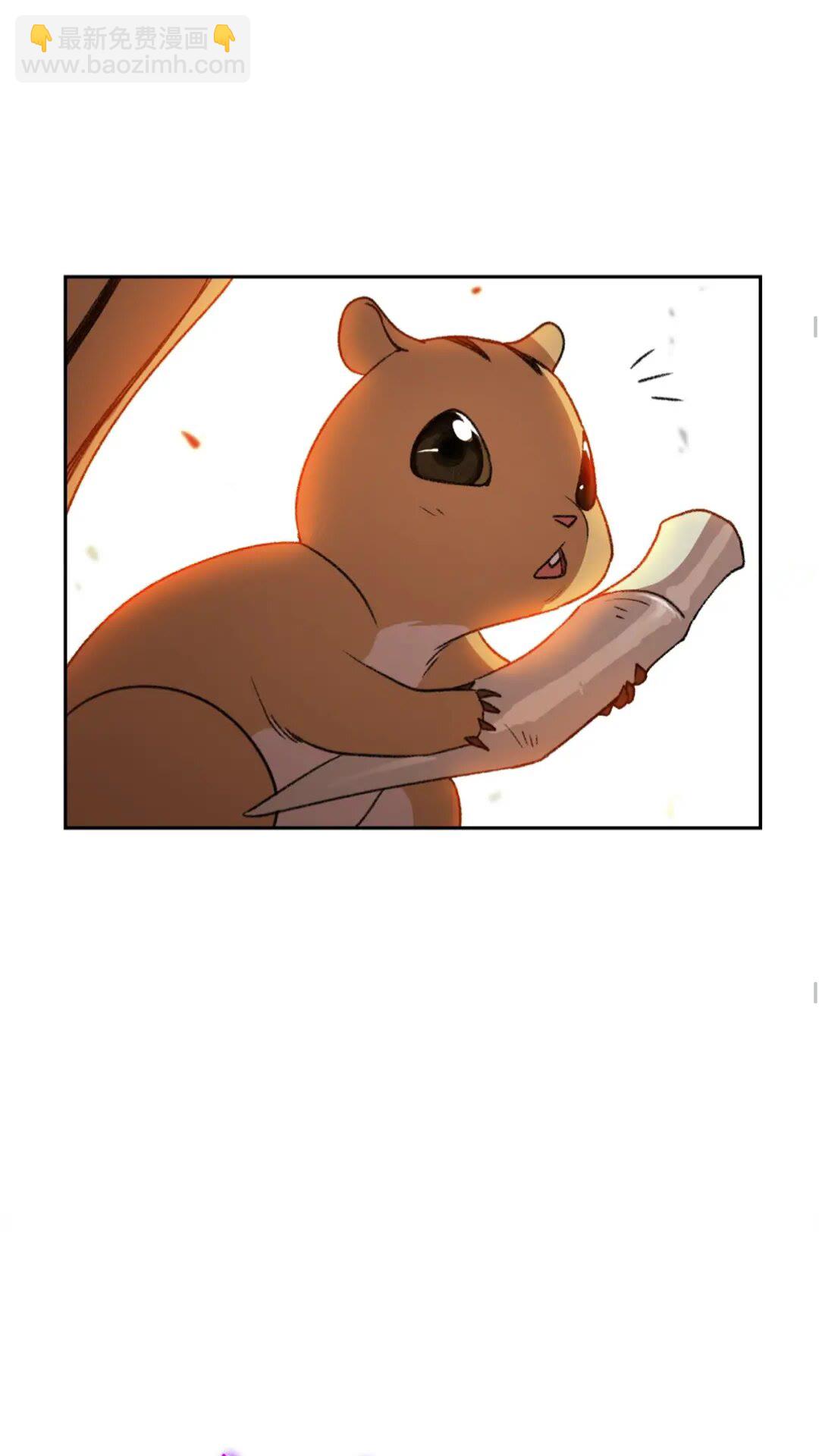 第10话 动物亲和LV1(1/2)-第12话