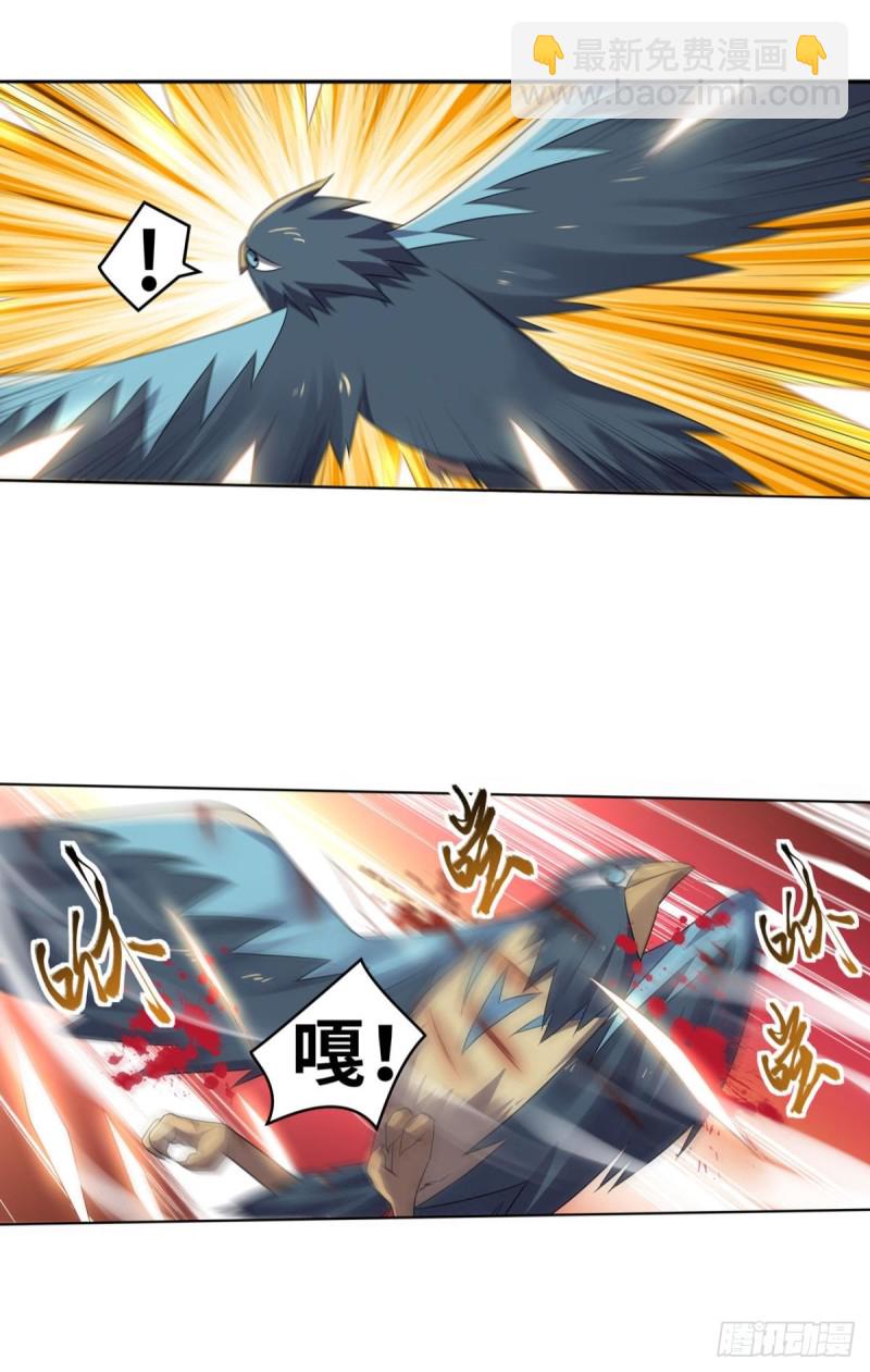 鹰身女妖！-第166话