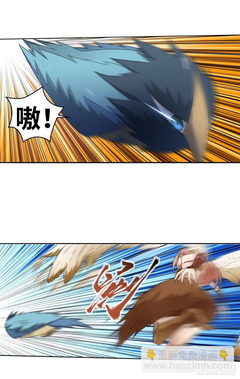 鹰身女妖！-第166话