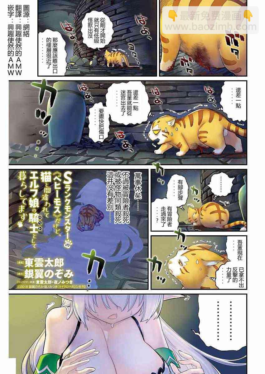 重生的貓騎士與精靈孃的日常 - 1話 - 2