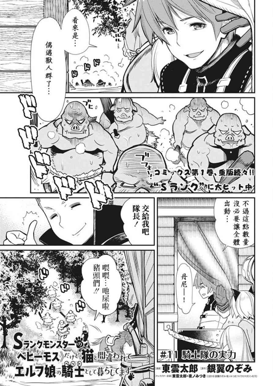 重生的貓騎士與精靈孃的日常 - 11話 - 1