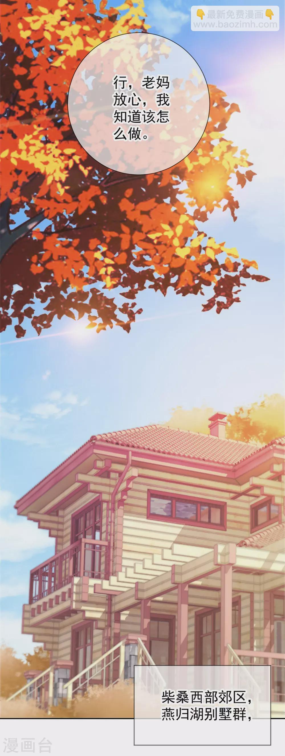 第19话 筹谋-第20话