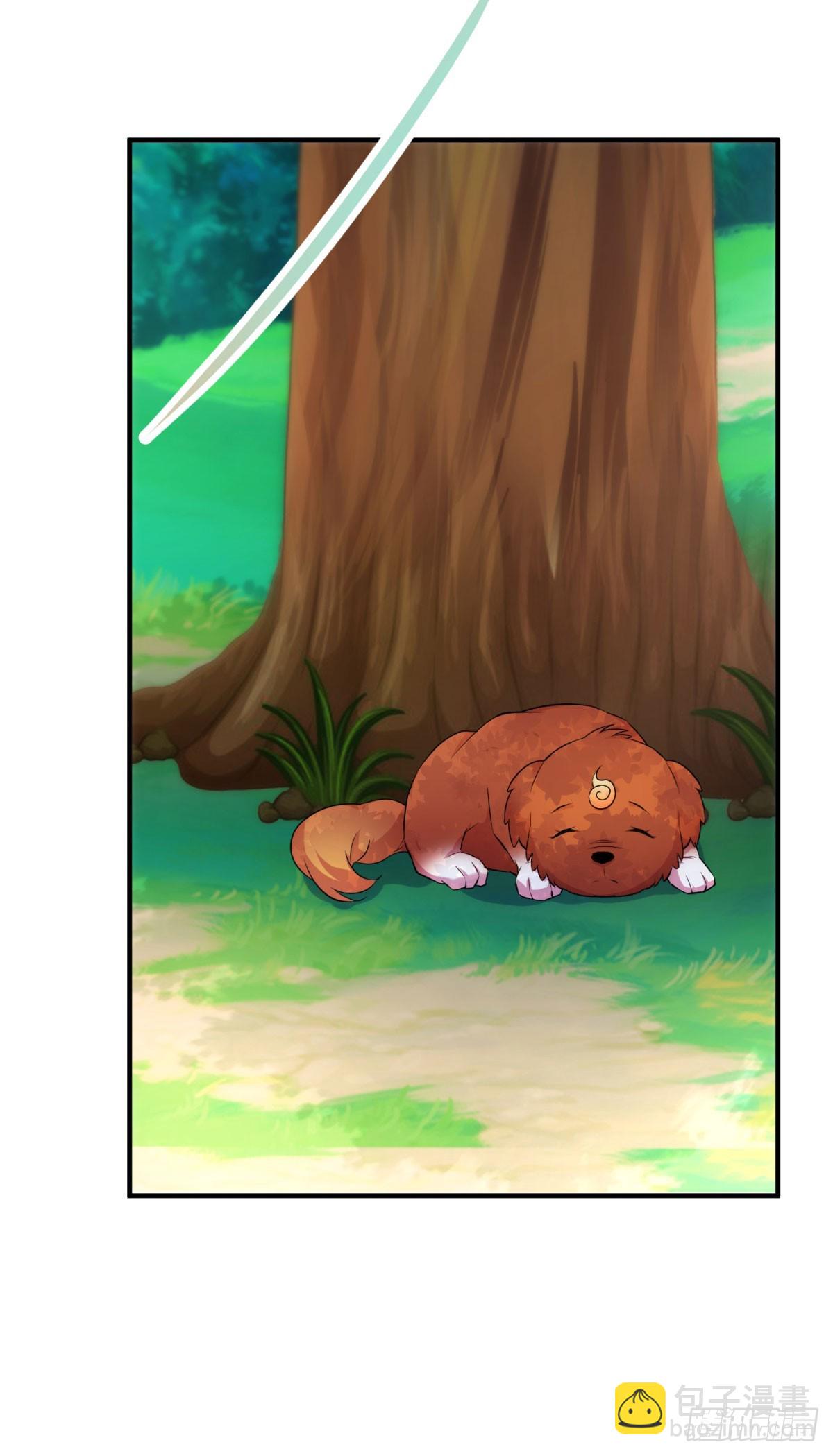 第287话 幼犬-第288话