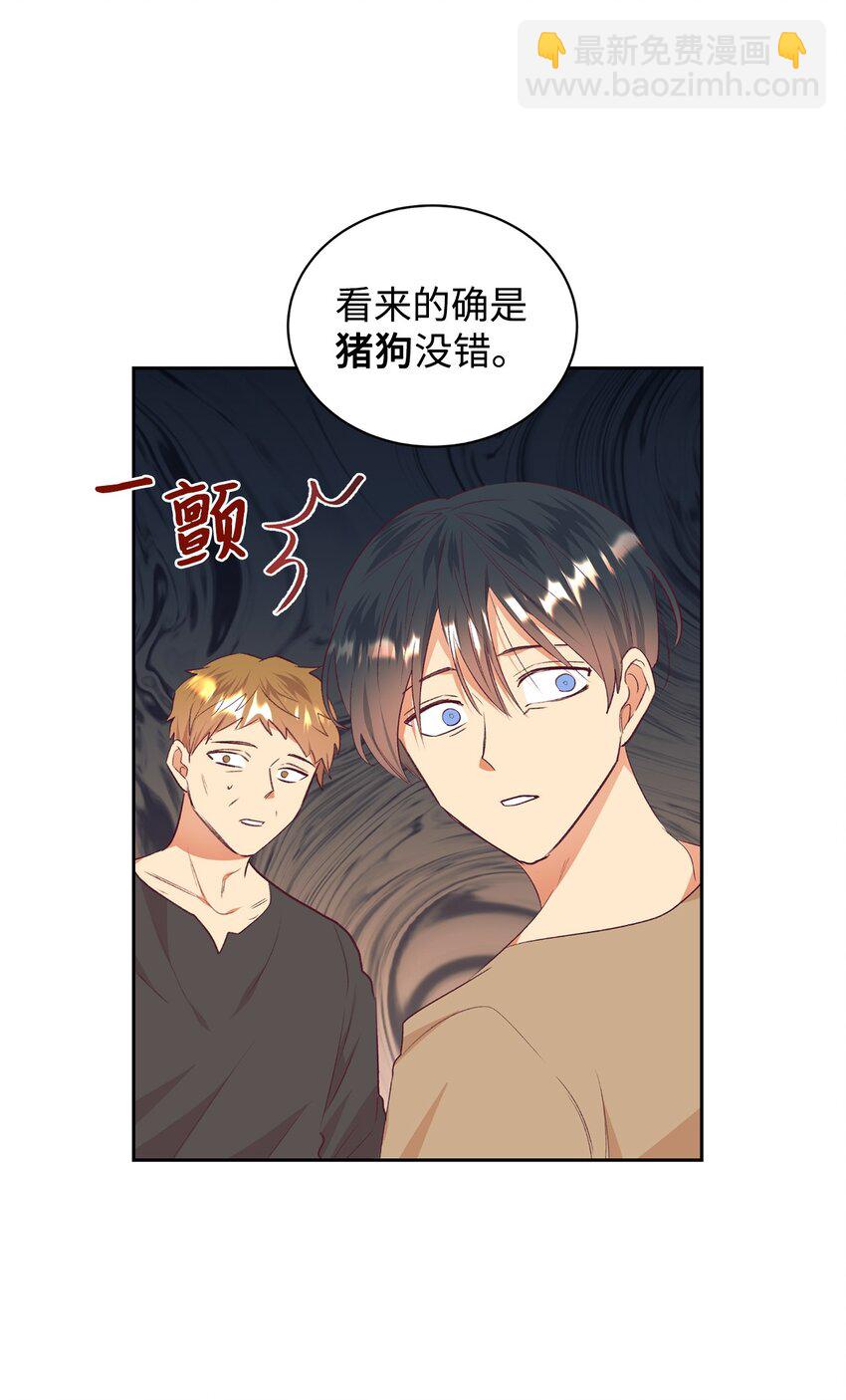 41 遇袭(1/2)-第42话