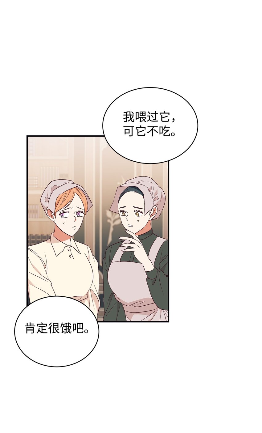 71 弃犬(1/2)-第72话