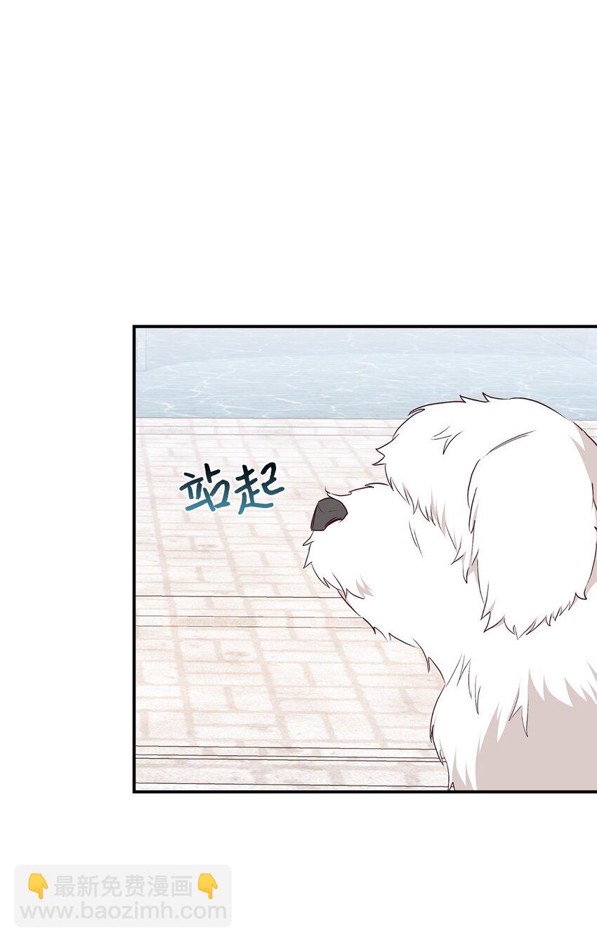 71 弃犬(1/2)-第72话