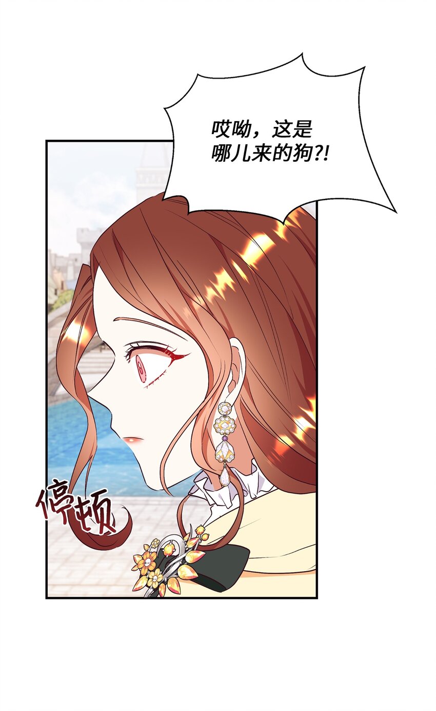 71 弃犬(1/2)-第72话