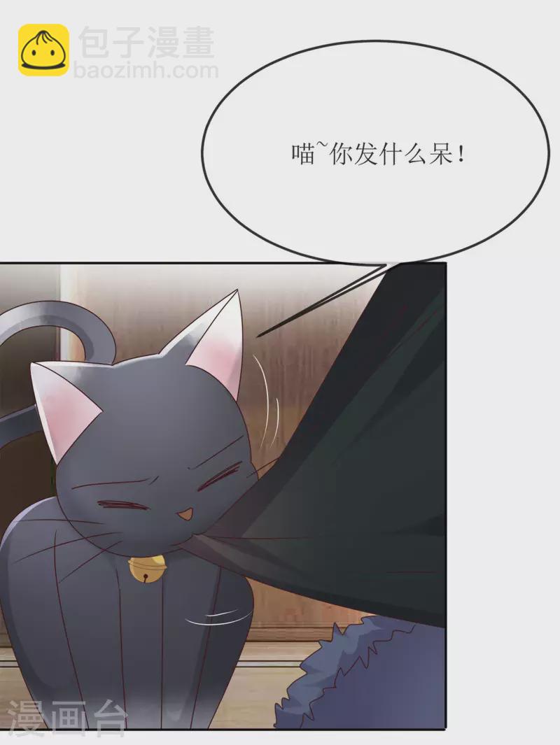 重生後靠臉混娛樂圈 - 第3話 小圓 - 5