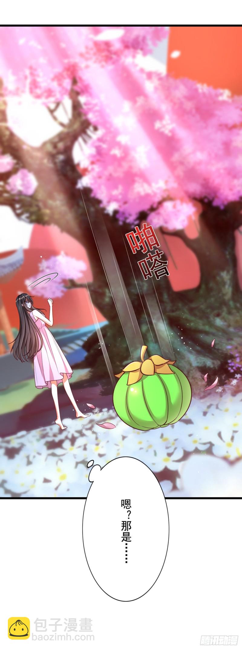 重生空間：大小姐不好惹 - 第239話 寶寶，你一定會平安 - 5