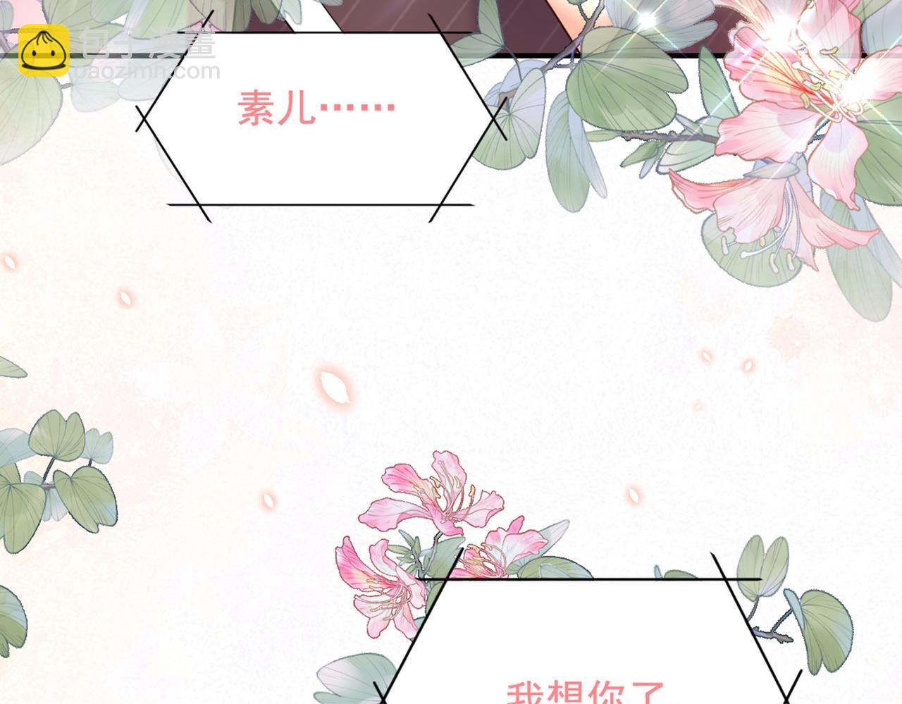 重生空間：大小姐不好惹 - 第283話 素兒，我好想你(2/3) - 3