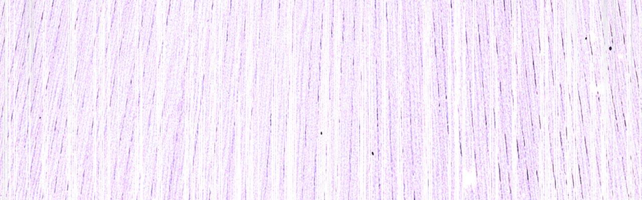 重生空間：大小姐不好惹 - 第323話 這人…我好像見過(2/3) - 2