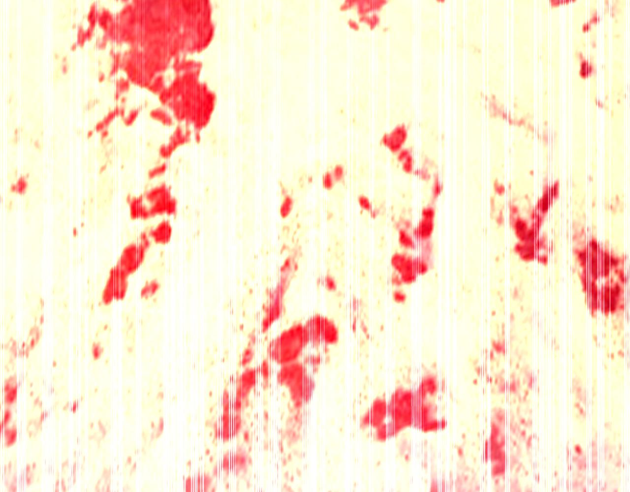 重生空間：大小姐不好惹 - 第345話 素兒，不要跳！(3/3) - 4