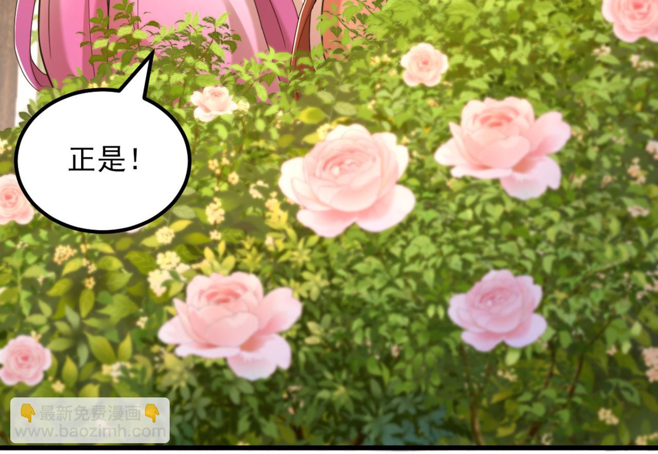 重生空間：大小姐不好惹 - 第415話 你是蘇家大小姐？(2/3) - 4