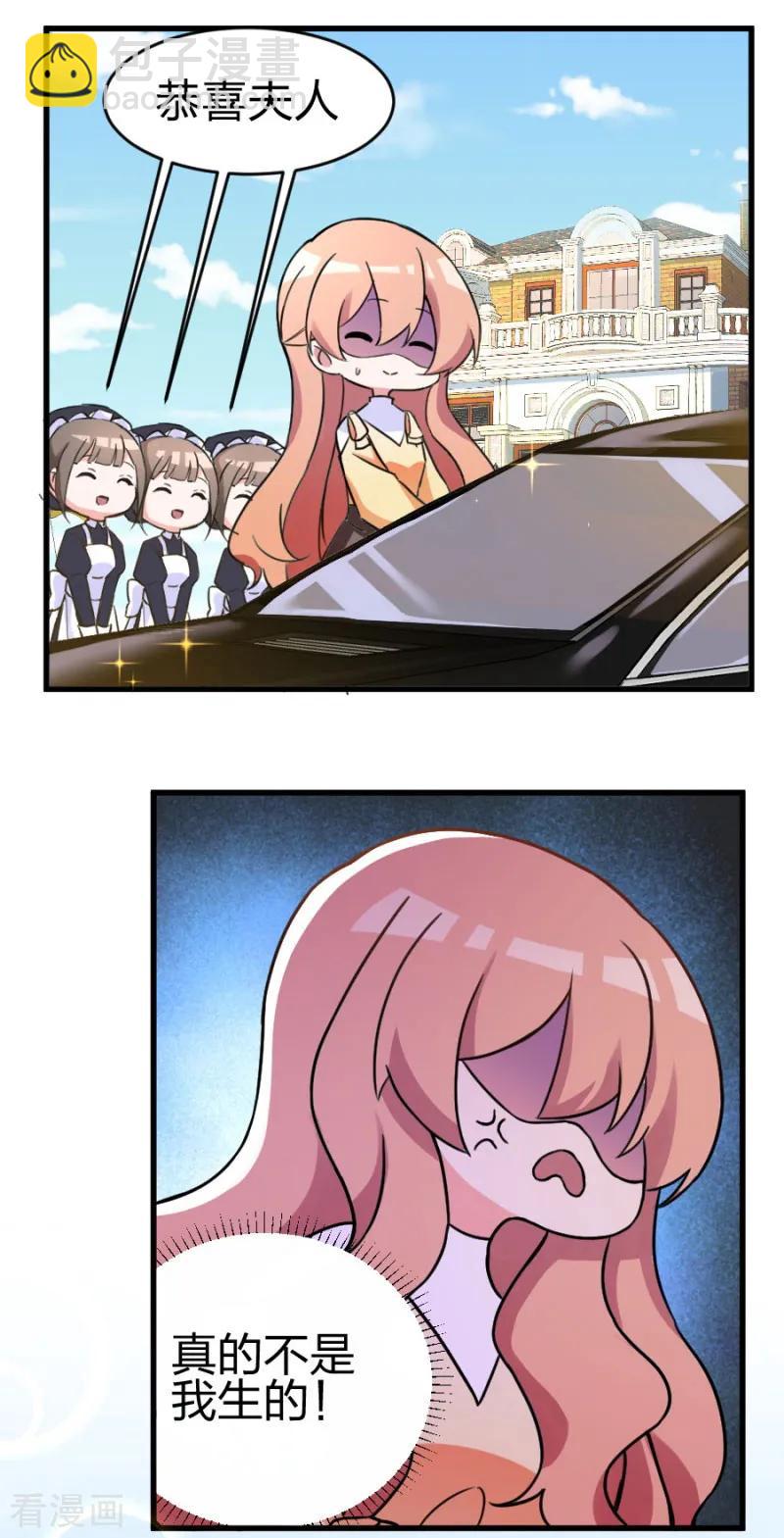 重生暖婚輕寵妻 - 第101話 免費番外之不是我生的 - 2