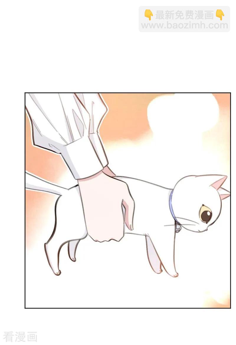 重生暖婚輕寵妻 - 第180話 你放心把它交給我吧 - 2