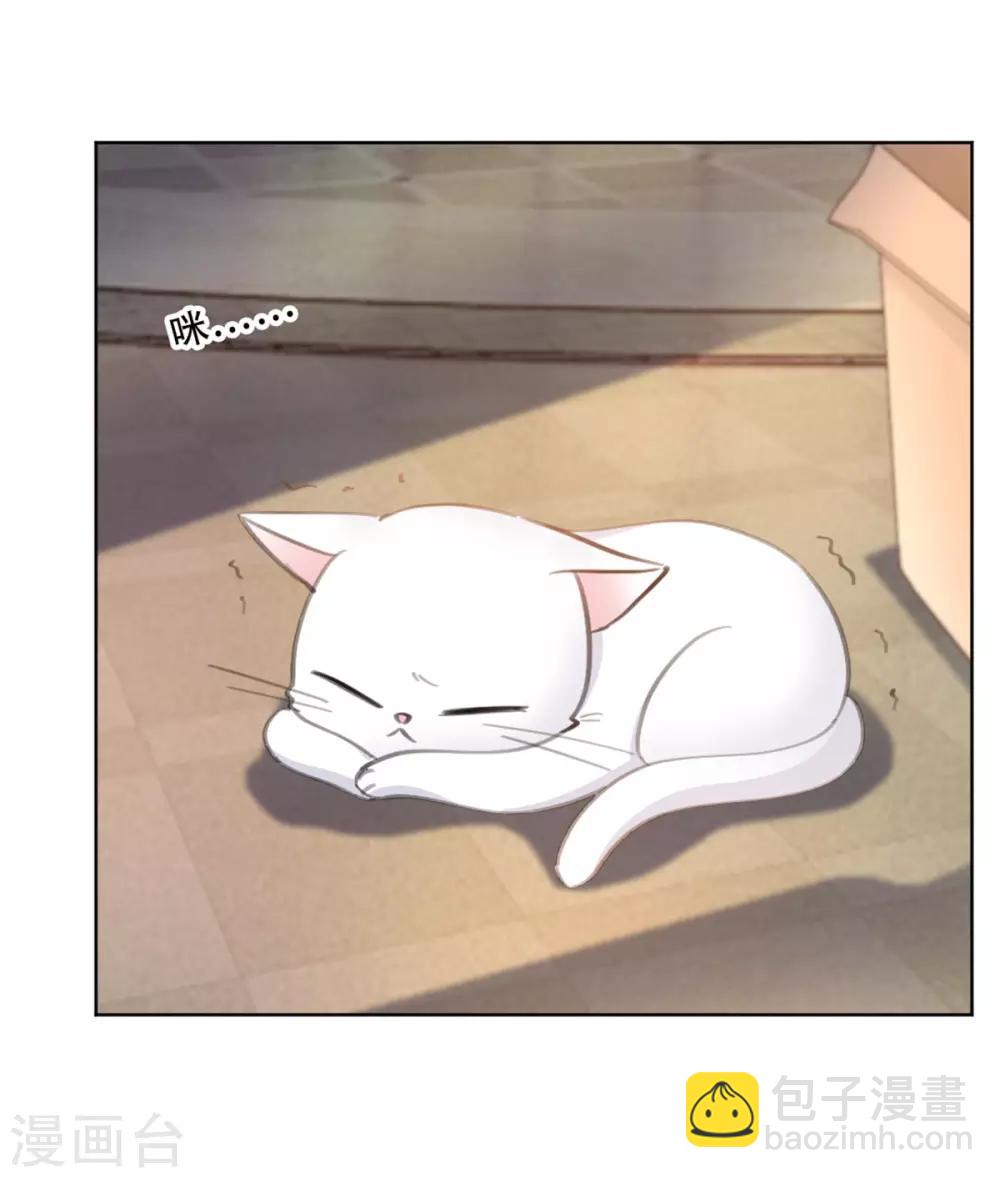 第176话 怀孕能养宠物吗？-第176话