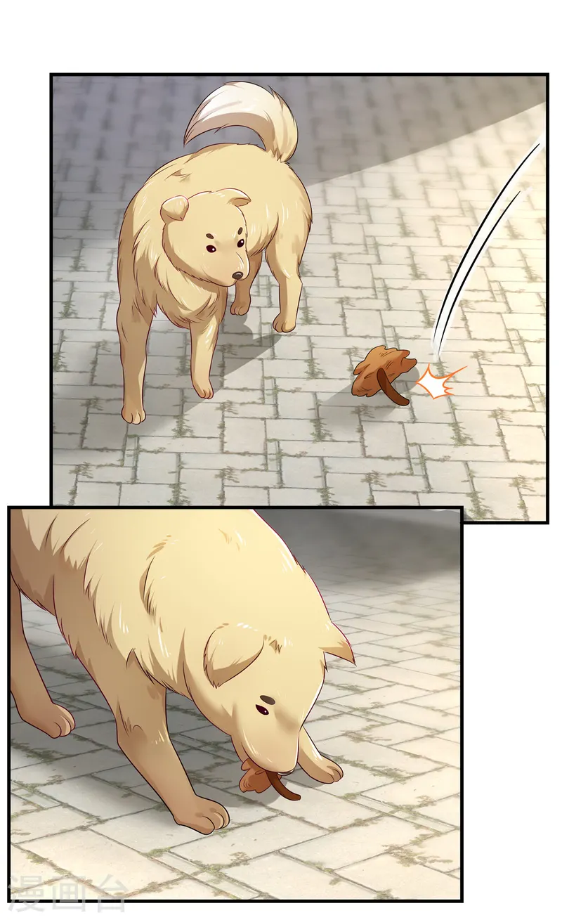 第65话 喂狗-第68话