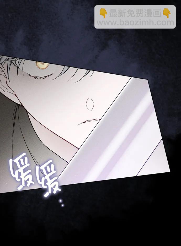 重生騎士的名媛生活 - 第112話 騎士們的目標(1/2) - 4
