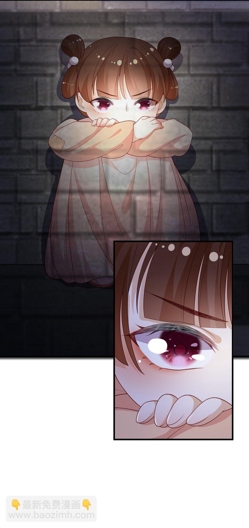 重生爲了敵國的惡毒皇后 - 007 後宮妃子真多 - 1