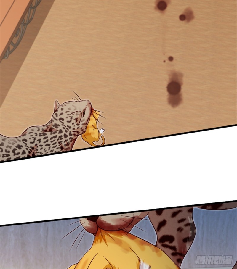 第187话(1/2)-第190话