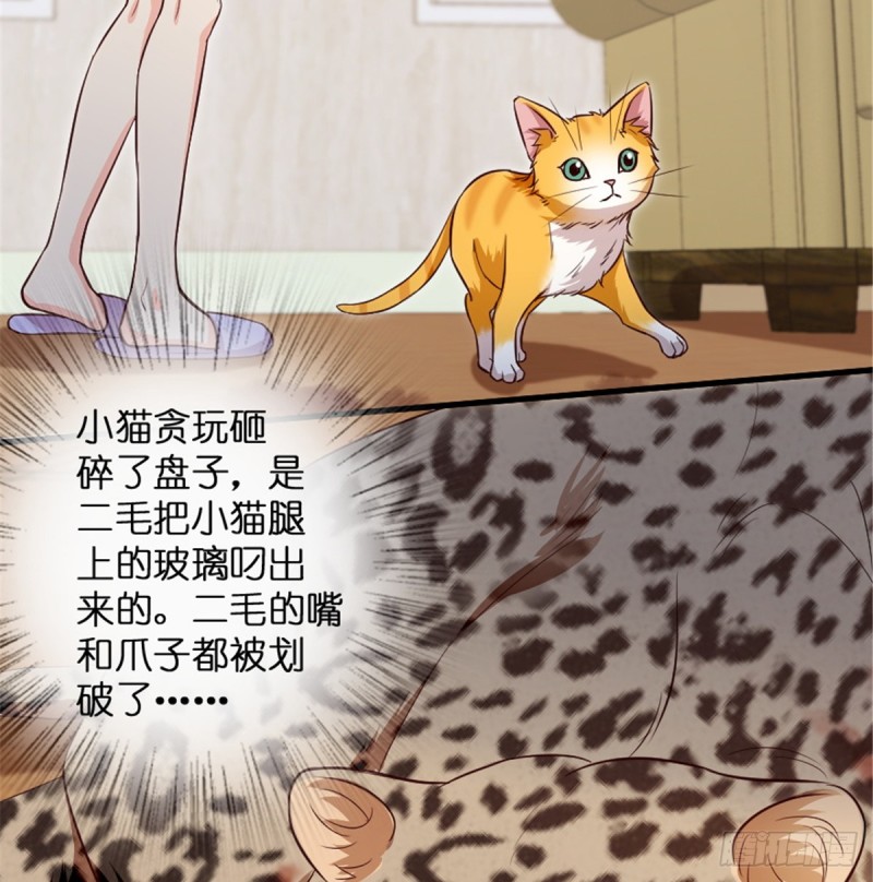 第187话(1/2)-第190话