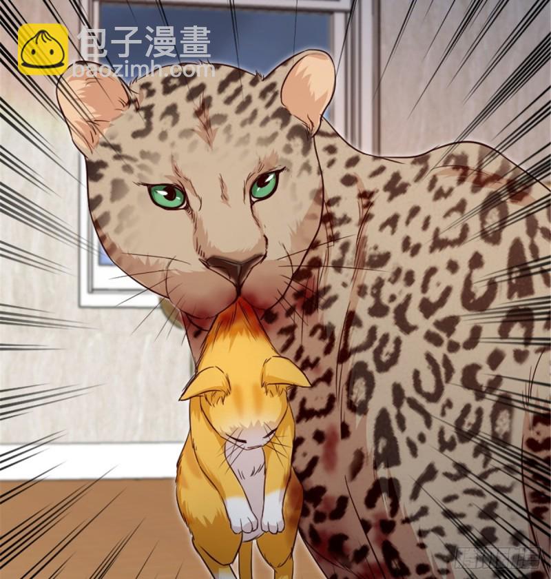 第187话(1/2)-第190话