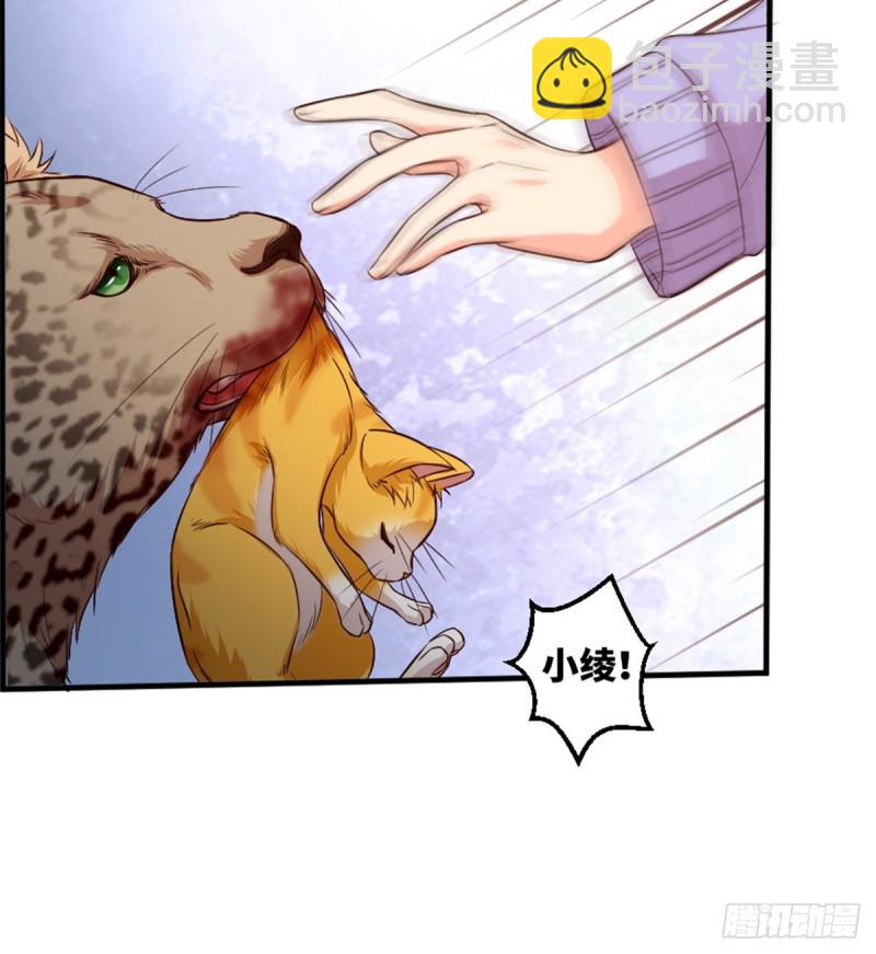 第187话(1/2)-第190话