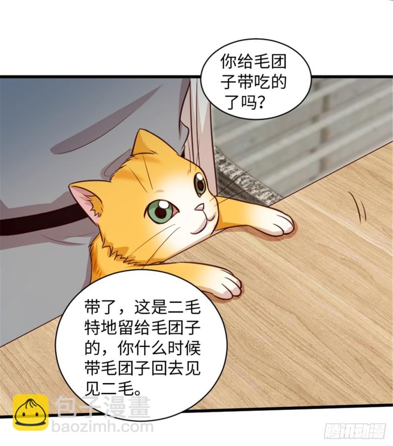 第193话(1/2)-第196话