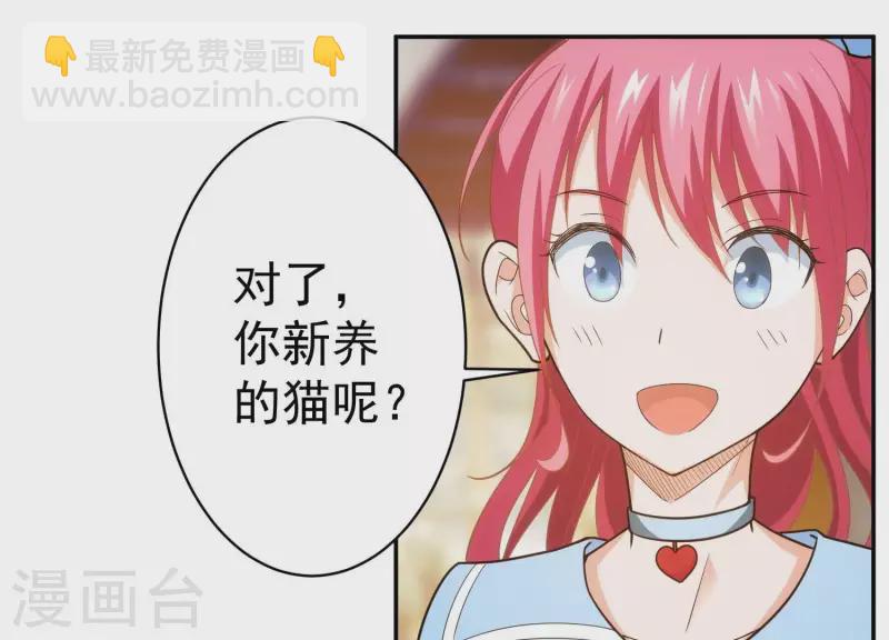 第18话 猫猫狗狗(1/2)-第18话