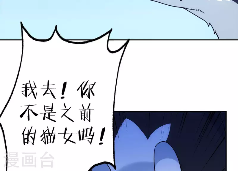 第18话 猫猫狗狗(1/2)-第18话