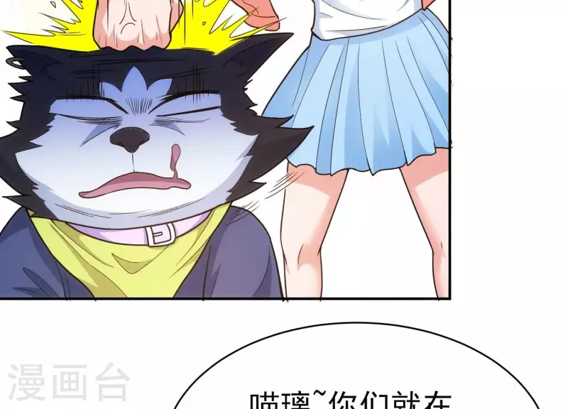 第18话 猫猫狗狗(1/2)-第18话