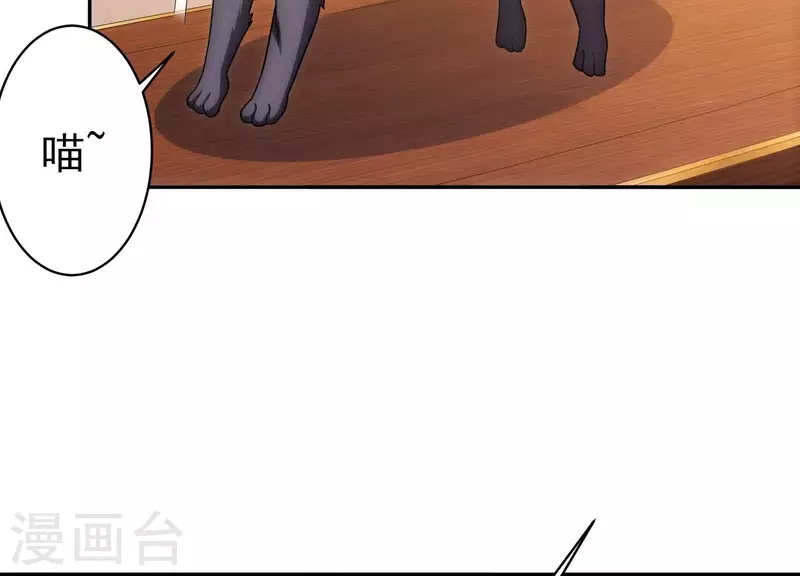 第18话 猫猫狗狗(1/2)-第18话