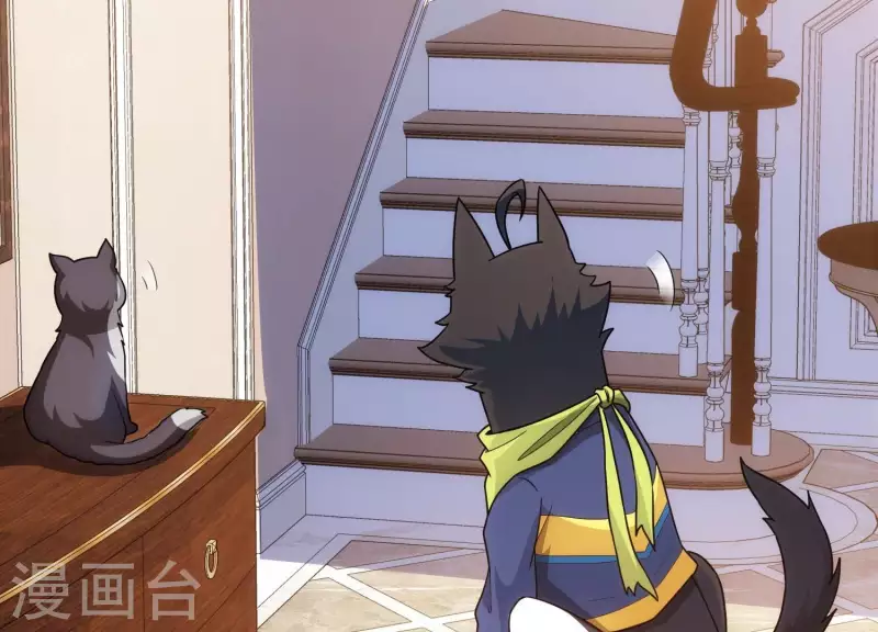 第18话 猫猫狗狗(1/2)-第18话