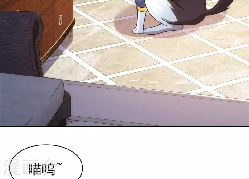 第18话 猫猫狗狗(1/2)-第18话